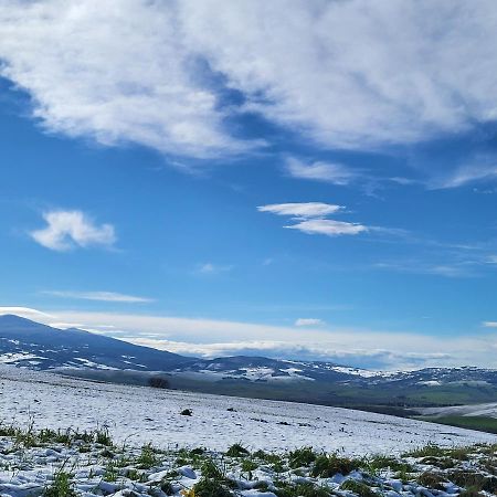 Апартаменты Casa Per L'Osticcio Vista Sulla Val D'Orcia Монтальчино Экстерьер фото