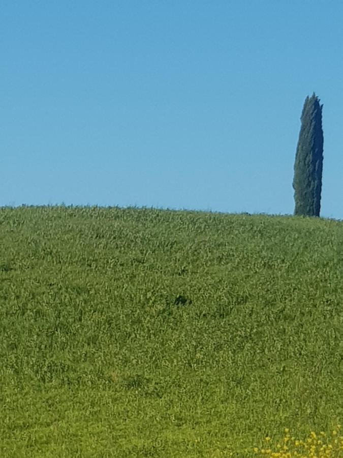 Апартаменты Casa Per L'Osticcio Vista Sulla Val D'Orcia Монтальчино Экстерьер фото