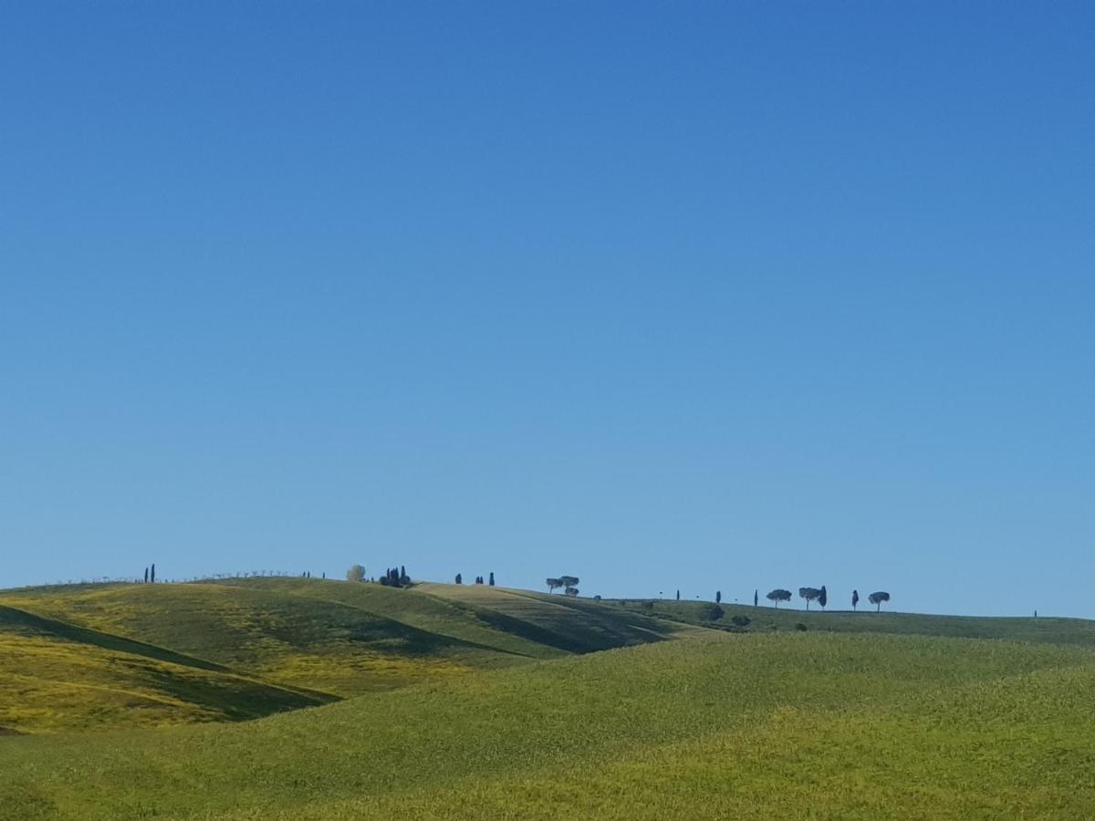 Апартаменты Casa Per L'Osticcio Vista Sulla Val D'Orcia Монтальчино Экстерьер фото