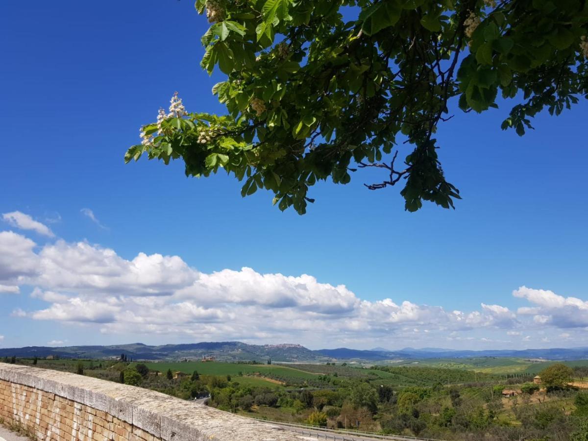 Апартаменты Casa Per L'Osticcio Vista Sulla Val D'Orcia Монтальчино Экстерьер фото