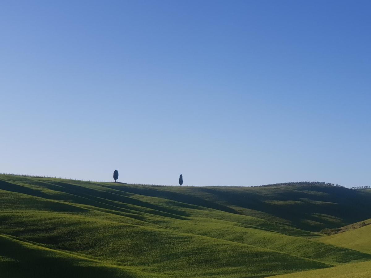 Апартаменты Casa Per L'Osticcio Vista Sulla Val D'Orcia Монтальчино Экстерьер фото