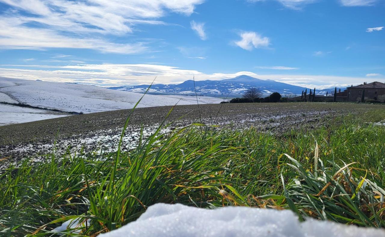 Апартаменты Casa Per L'Osticcio Vista Sulla Val D'Orcia Монтальчино Экстерьер фото