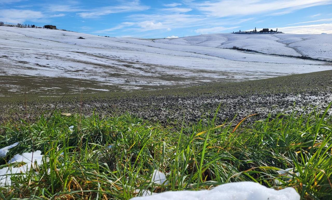 Апартаменты Casa Per L'Osticcio Vista Sulla Val D'Orcia Монтальчино Экстерьер фото