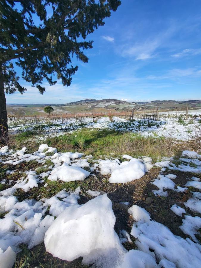 Апартаменты Casa Per L'Osticcio Vista Sulla Val D'Orcia Монтальчино Экстерьер фото